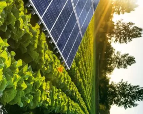 Vous recherchez un installateur de panneaux solaires à Tanger ? Profitez de l'ensoleillement exceptionnel du nord du Maroc pour réduire vos factures d’électricité. Econord Aménagement vous propose des solutions photovoltaïques sur mesure, de l'étude à l'installation et à la maintenance, pour les particuliers et les professionnels.